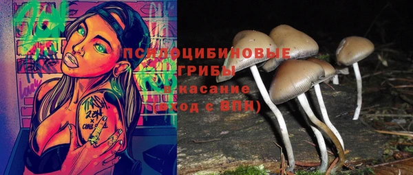не бодяженный Осташков